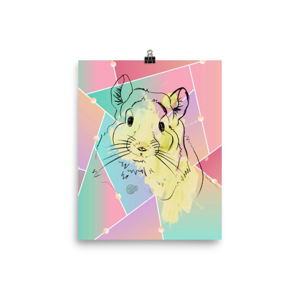 Poster - Colorful Curious Chinchilla